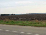 Земеделска земя за продажба в района на с. Дуранкулак, 30000 кв.м,
				
				
						€ 170 000